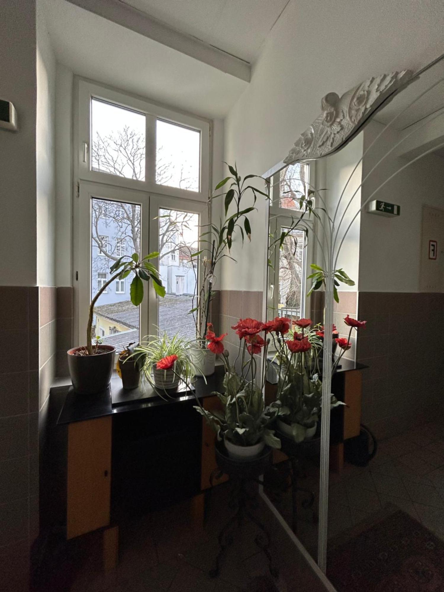 Reiner Apartment Виена Екстериор снимка
